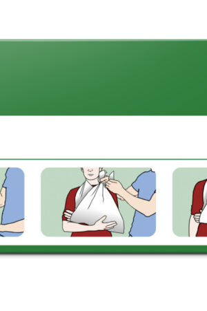 Cederroth Mitella Mitella Cederroth 1889 2/fp