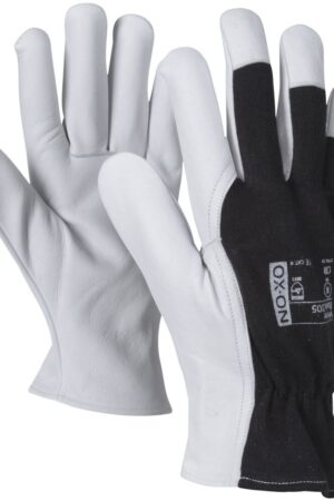 OX-ON Worker Basic 2005 (12PAR)